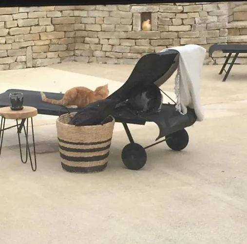 Campagne Design Thaire