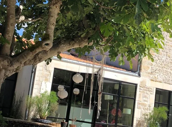 Campagne Design Thaire